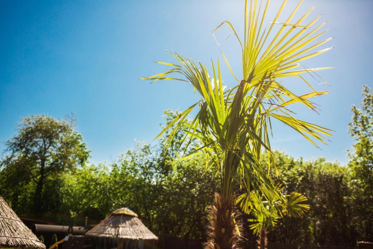 Aloha Glamp - Okragle Domki Przy Rzece - Balia I Sauna - Energylandia Zagornik Ngoại thất bức ảnh